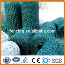 plastic coated chicken wire netting / aviary cage wire mesh /hexagonal wire netting